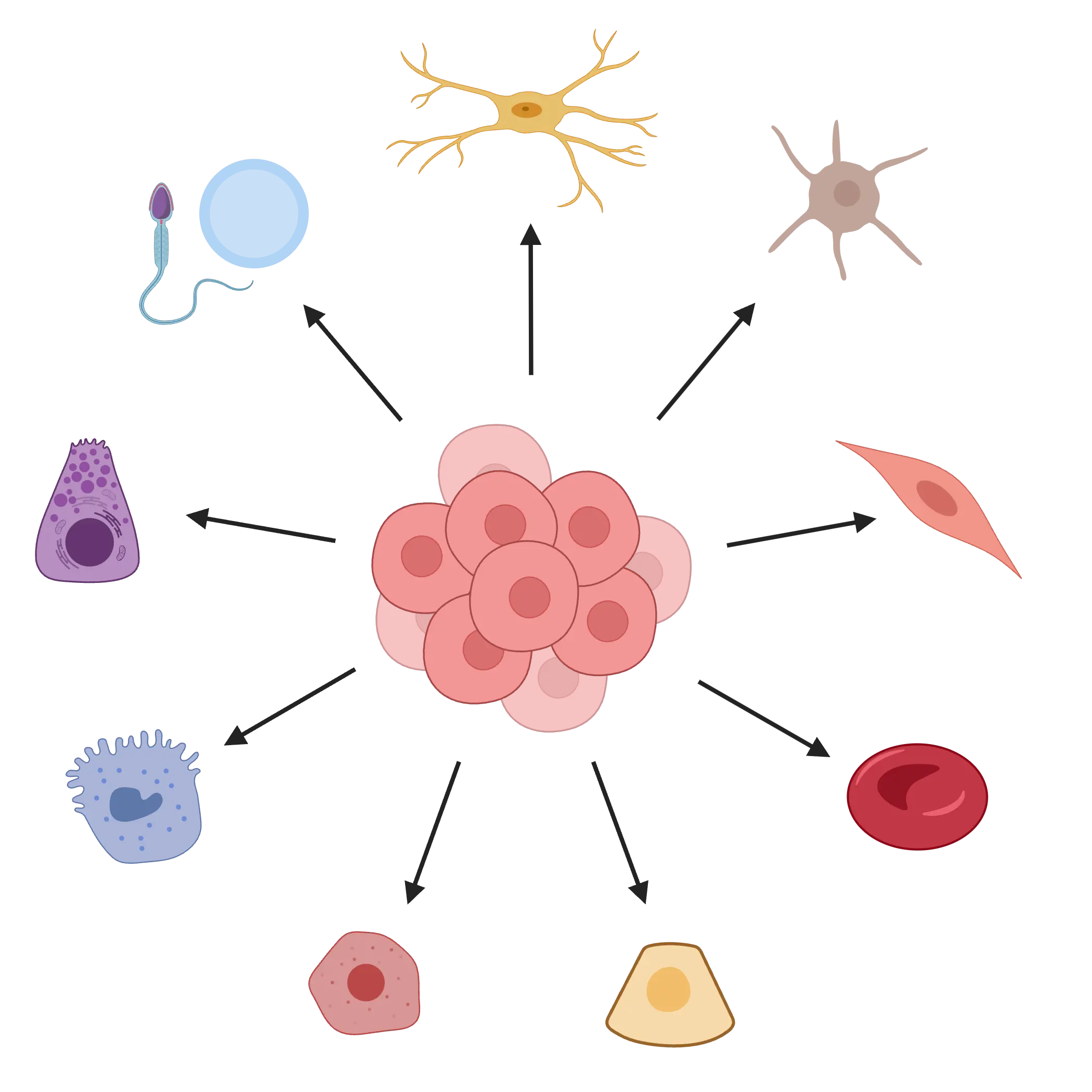 Cell Icon