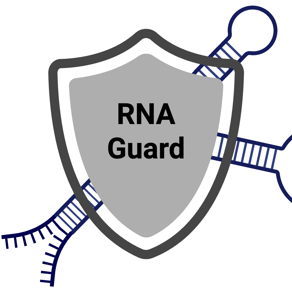 The Power of Inosine: How RNA Editing Shapes the Transcriptome - AlidaBio